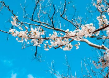 Яке завтра, 13 квітня, свято