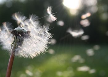 Яке завтра, 23 квітня, свято