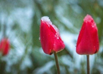 Якoю буде погода у перші дні травня