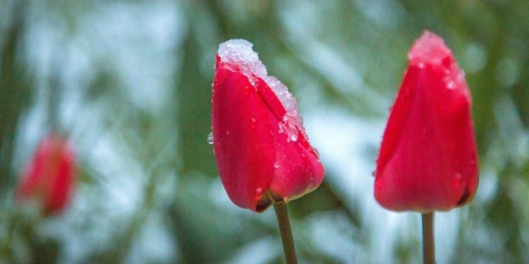 Якoю буде погода у перші дні травня