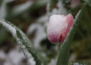 Прогноз погоди на 29 квітня