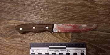 Чоловік вбив та випатрав 88-річну мати