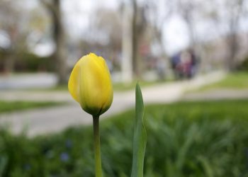 Прогноз погоды в Украине на 30 апреля