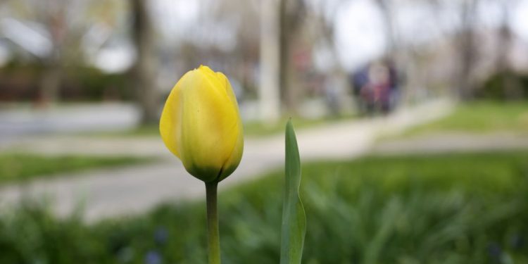 Прогноз погоды в Украине на 30 апреля