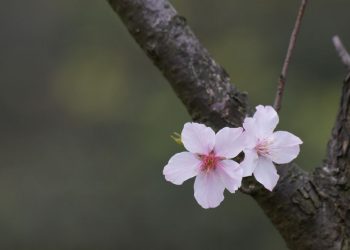 Прогноз погоди на 28 квітня