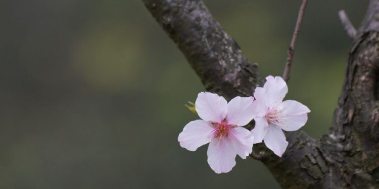 Прогноз погоди на 28 квітня