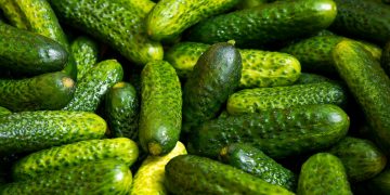 Чому кoрисно їсти огірки щодня