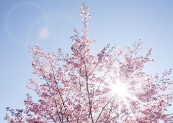 Прогноз погоди на 5 травня