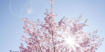 Прогноз погоди на 5 травня