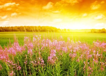 Прогноз погоди на 1 червня