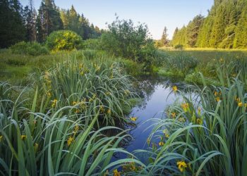 Прогноз погоди в Україні на 21 травня