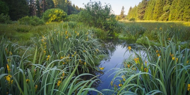 Прогноз погоди в Україні на 21 травня