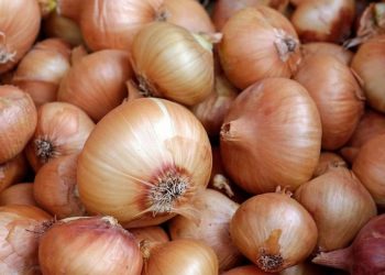 Цены на лук будут расти: к чему готовиться