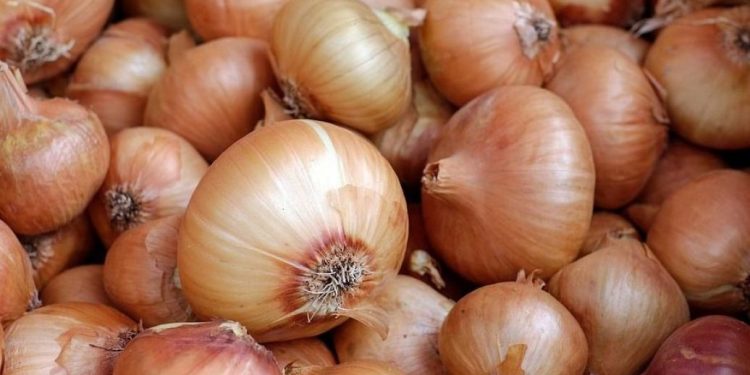Цены на лук будут расти: к чему готовиться