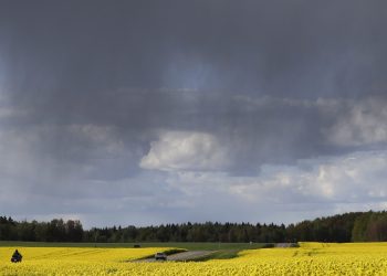 В Украине объявили штормовое предупреждение