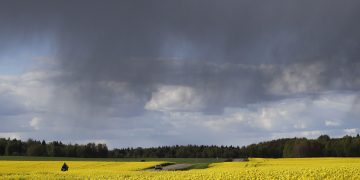 В Украине объявили штормовое предупреждение