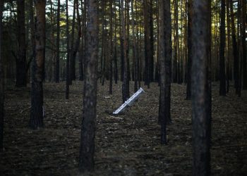 Кількість збитих вночі ракет і дронів