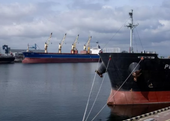 Зернова угода потрібна, щоб нагодувати світ