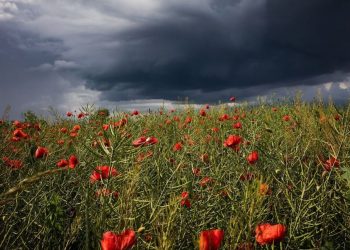 В Україні погіршилася погода