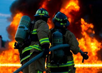 В Киеве произошел пожар в Гидропарке