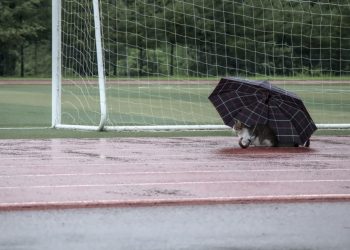 Прогноз погоди на суботу, 27 травня