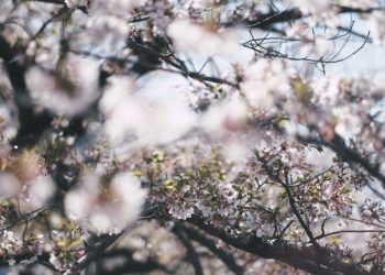 До України поступово повертається тепло