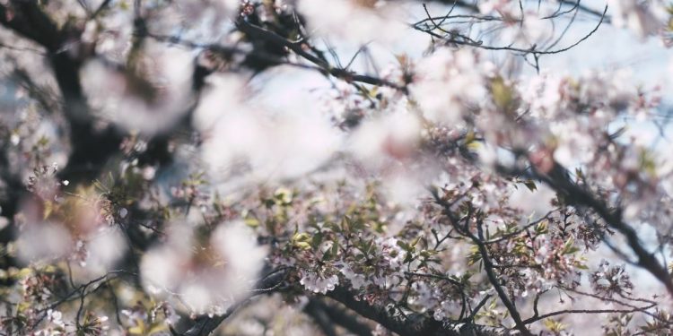 До України поступово повертається тепло