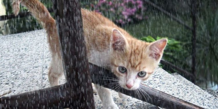 Прогноз погоды на 26 мая