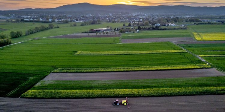 Кто не будет платить налоги на землю