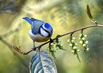 Яке сьогодні, 23 травня, свято