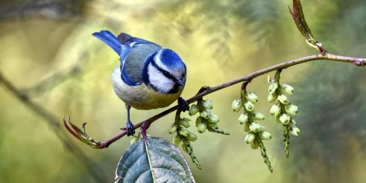 Яке сьогодні, 23 травня, свято