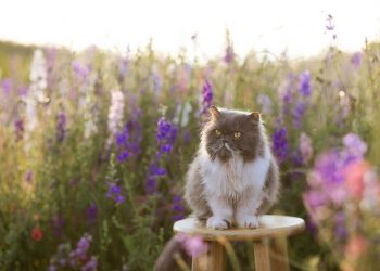 Вихідні дні в травні 2023 року