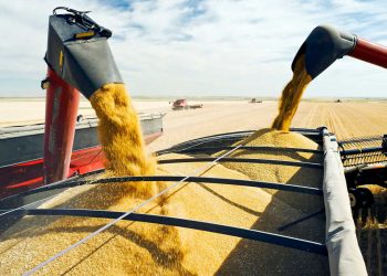 Обмеження на імпорт зерна з України