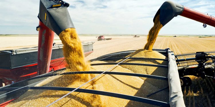 Обмеження на імпорт зерна з України