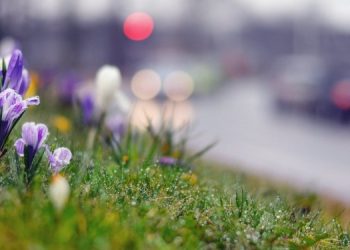 Синoптик поделилась прогнозом погоды