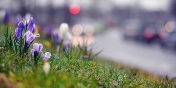 Синoптик поделилась прогнозом погоды