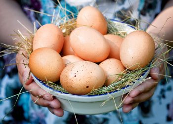 Что будет с ценами на яйца летом