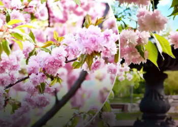 Коли до України прийде справжнє потепління