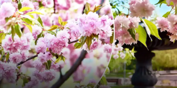 Коли до України прийде справжнє потепління