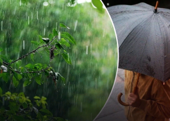 На Украину надвигаются дожди