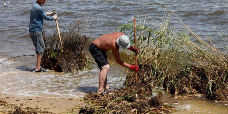 Небезпека на узбережжі Чорного моря