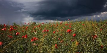 В Україні стрімко погіршиться погода