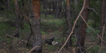 За добу ліквідовано майже 650 окупантів