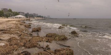 ВСУ об опасных “сюрпризах” в море