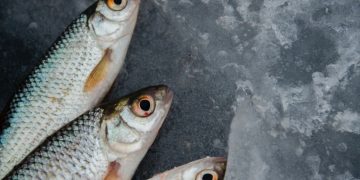 На Одещині четверо жінок отруїлися рибою