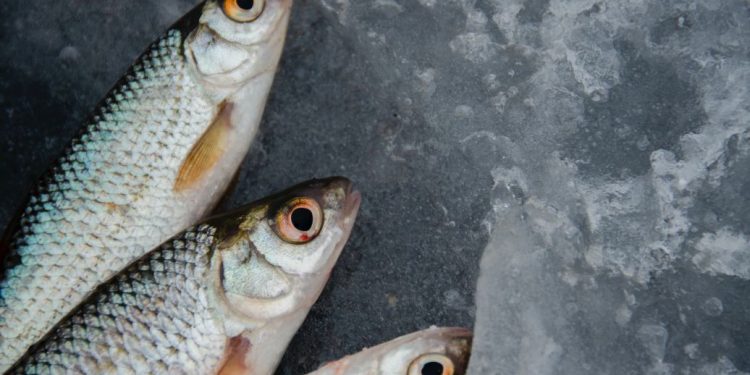 На Одещині четверо жінок отруїлися рибою