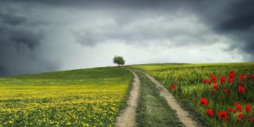 Оголошено перший рівень небезпеки