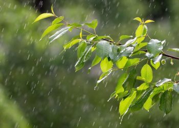 Як зміниться погода 25 червня