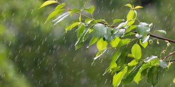 Як зміниться погода 25 червня