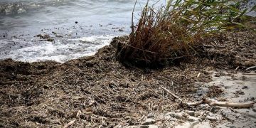 В Одесі заборонили купання у морі